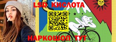 крисы Гай