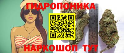 спайс Гатчина