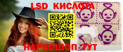 крисы Гай