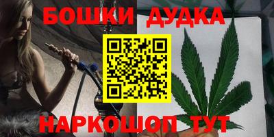крисы Гай