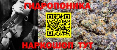 прущие грибы Гагарин