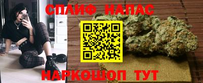 крисы Гай