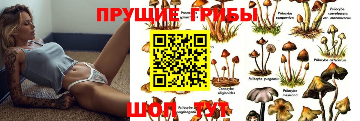 Галлюциногенные грибы мухоморы  Вход с VPN  Нижний Новгород 