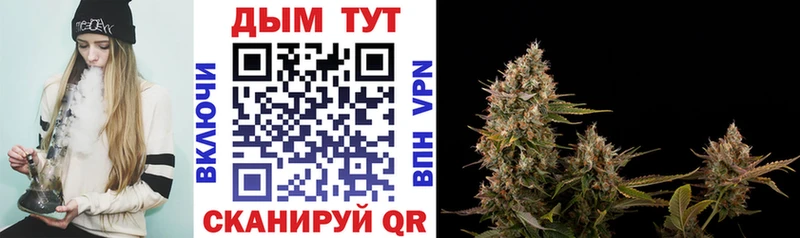 даркнет сайт shop официальный сайт Бошки Шишки планчик Нижний Новгород